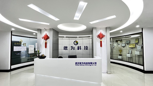 武漢敢為科技有限公司 武漢敢為科技有限公司